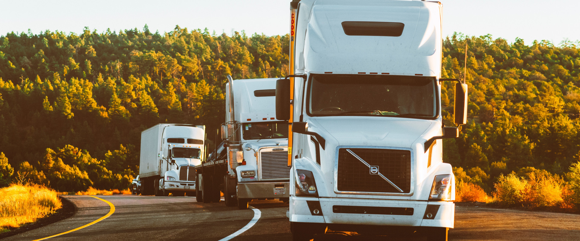What is the process for getting an estimate from a mover in tucson az?